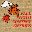 PHOTO CONTEST