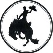 12651_531015493604233_412556556_n