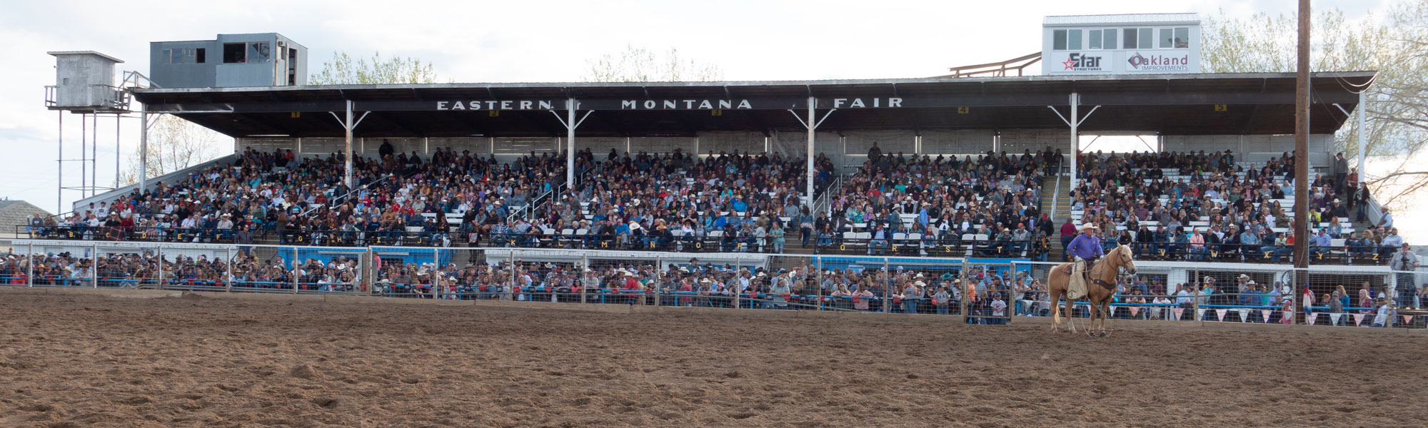 Bucking Horse Sale & Eastern Montana Fair
