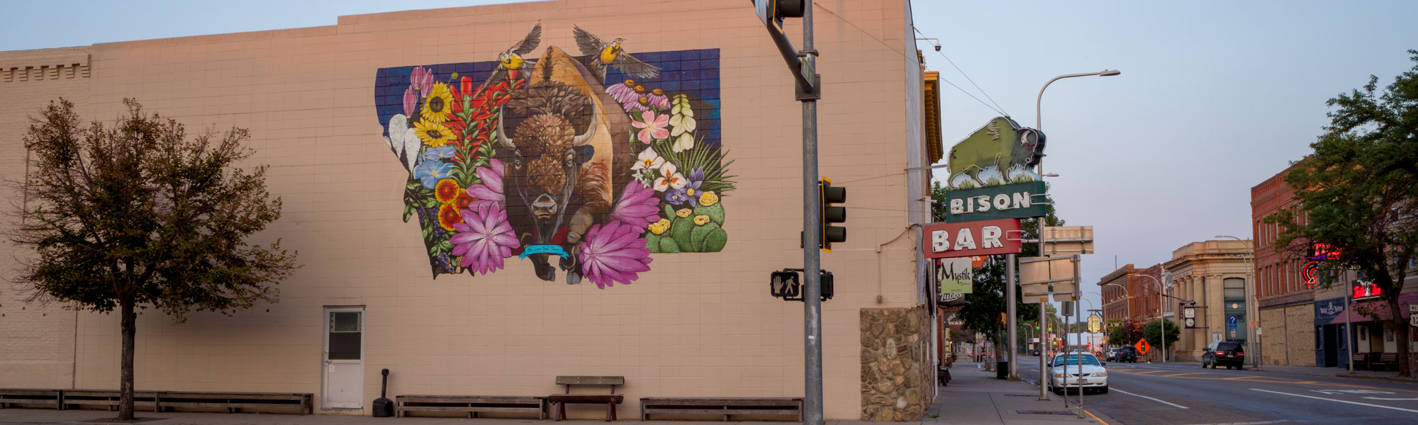 _slider-Keeley-Bison-Bar-Mural